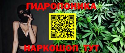 стаф Заволжье