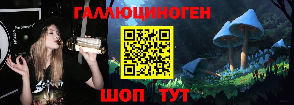 Медногорск  Галлюциногенные грибы Cubensis  Вход с VPN 