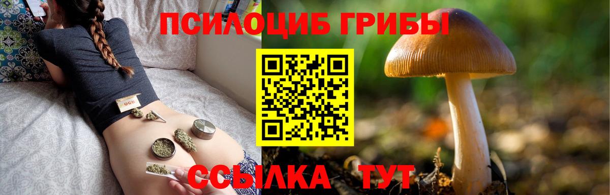 Псилоцибиновые грибы Magic Shrooms Медногорск