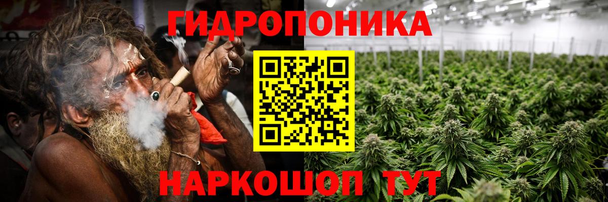МАРИХУАНА сатива  Конопля конопля  МАРИХУАНА AK-47  Бошки Шишки ГИДРОПОН  Медногорск  Вход с VPN 